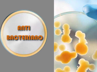 Anti-Bacteriano